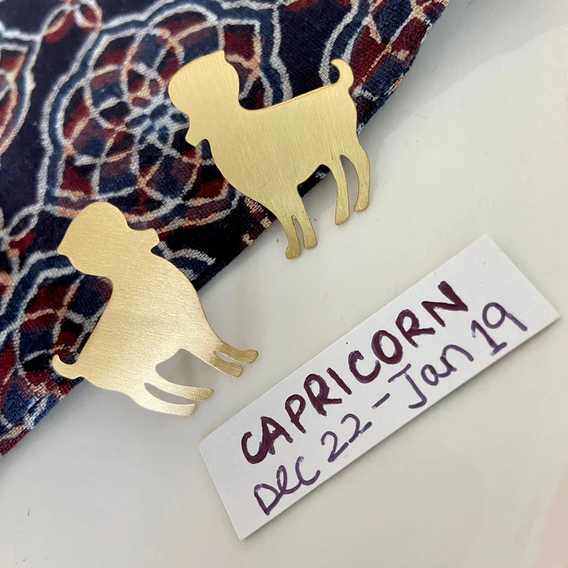 Brass Zodiac Sign Earring - Image 8